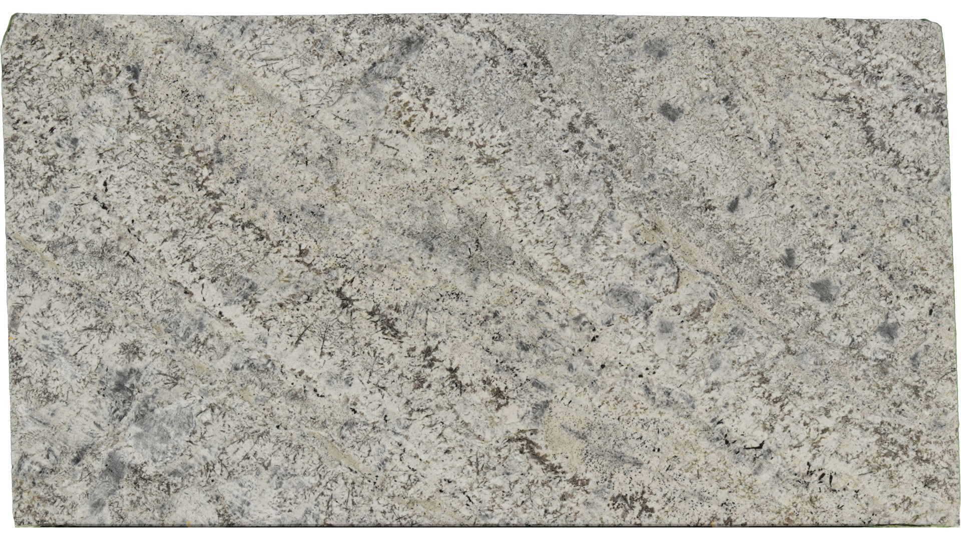 Sparkle-Grey in Atlanta GA