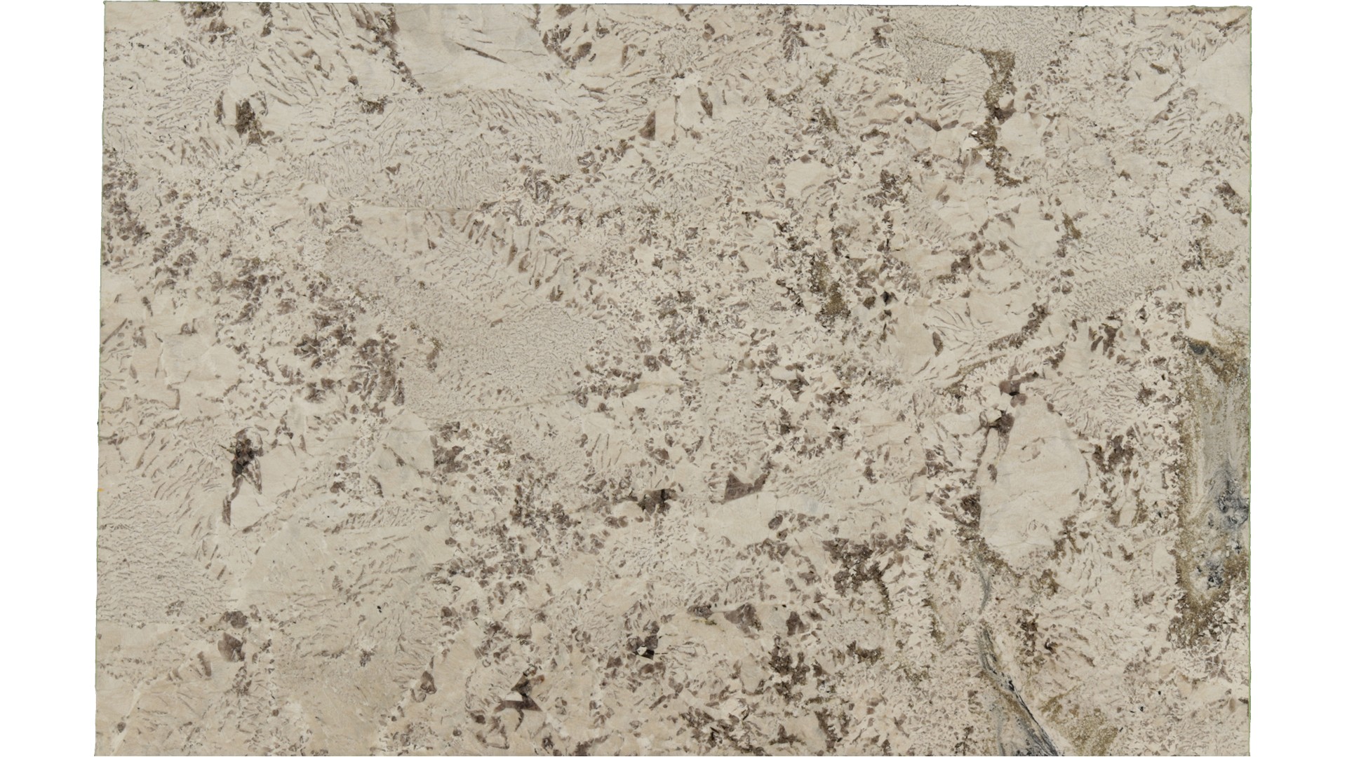 Antionette in Atlanta GA